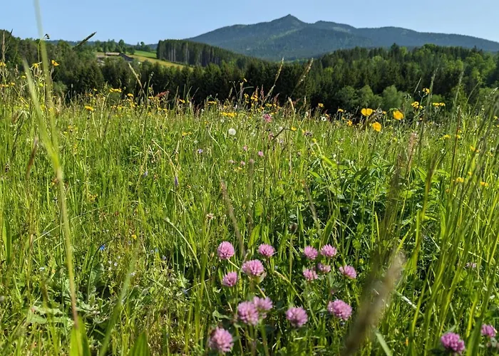 Erstklassiges Hotel Arber in Lohberg
